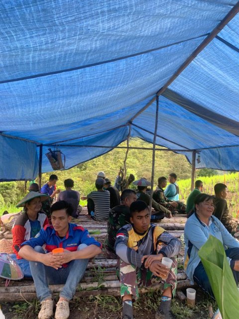 Aktivitas merumput di Ladang