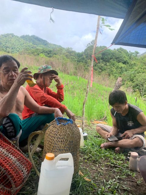 Aktivitas merumput di Ladang