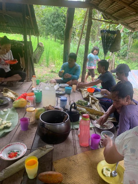 Aktivitas merumput di Ladang